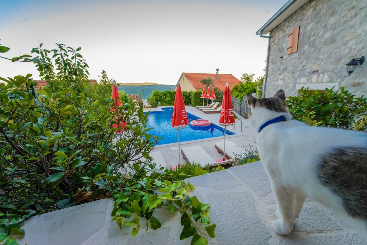 Mediteraneo Villa Kaluderovici 外观 照片